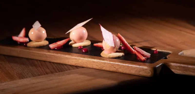 Plat gastronomique